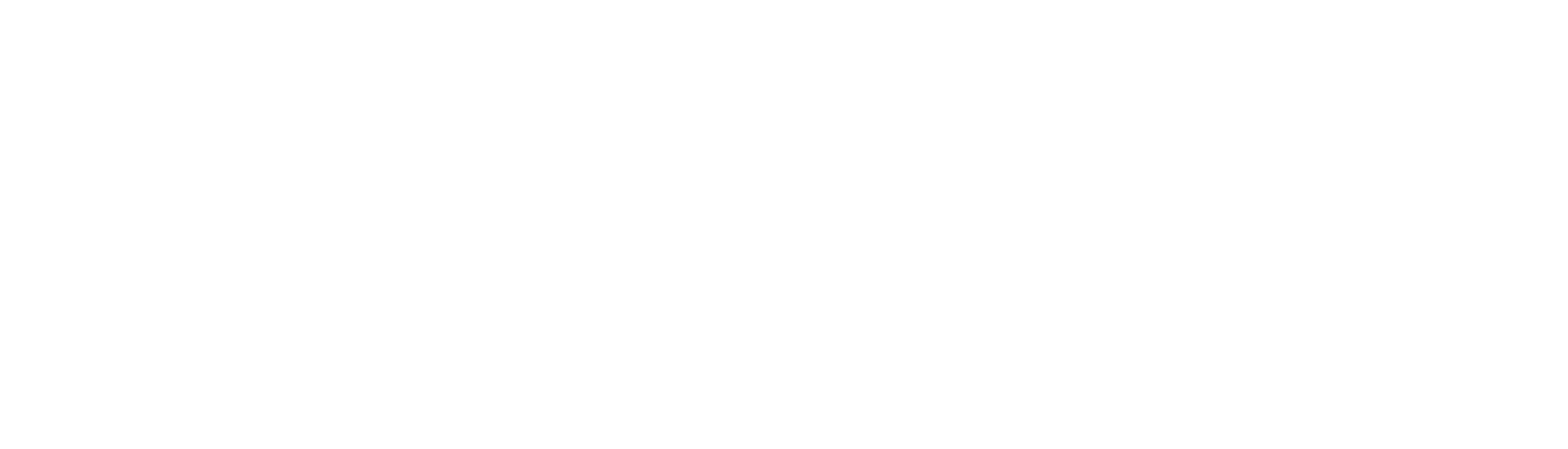 Auudit